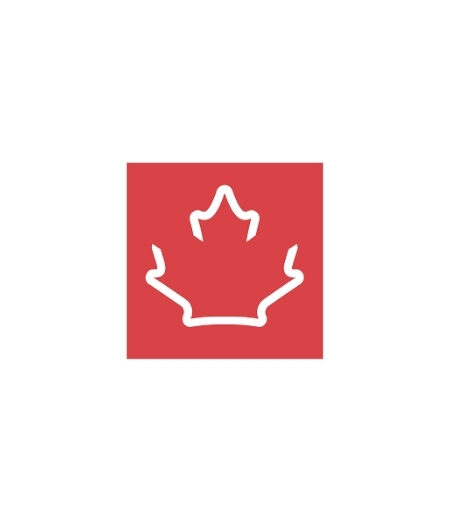 Chronic Pain Centre of Excellence for Canadian Veterans