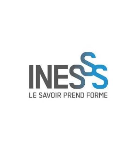 Institut national d&rsquo;excellence en santé et en services sociaux