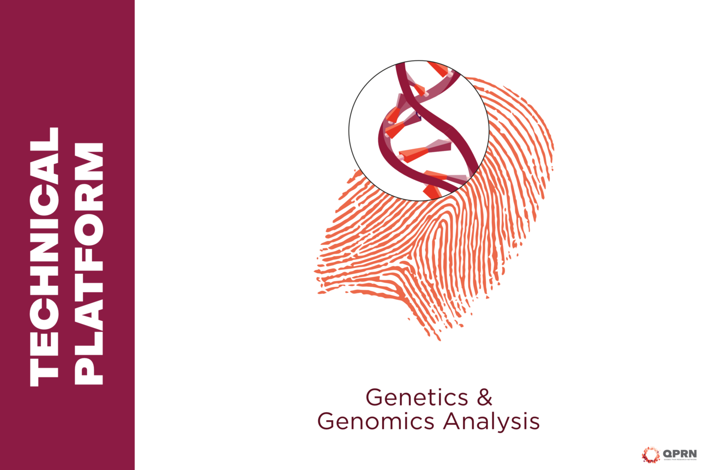 2026 Plateforme source EN 4
