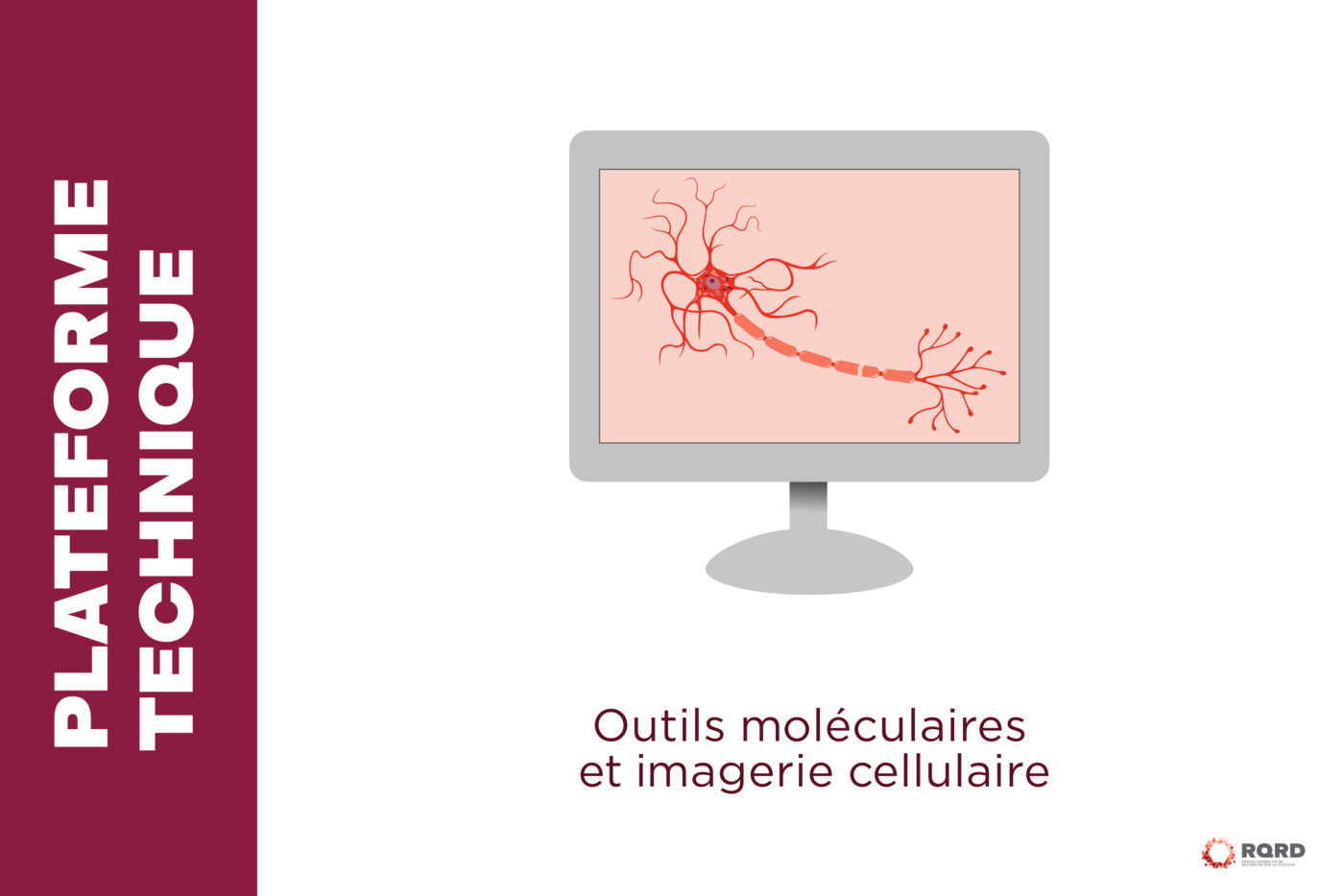 2026 Plateforme source FR 1