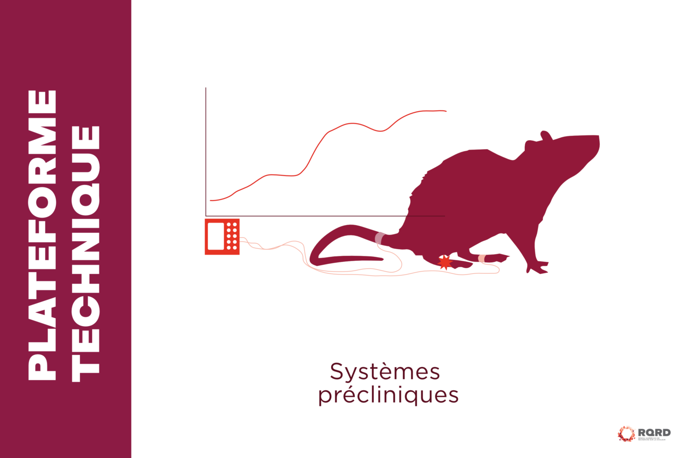 2026 Plateforme source FR 2 2
