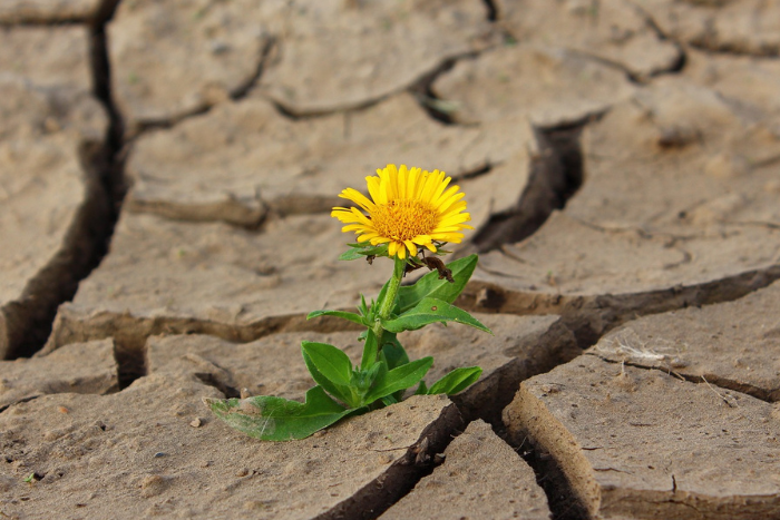 Images website13