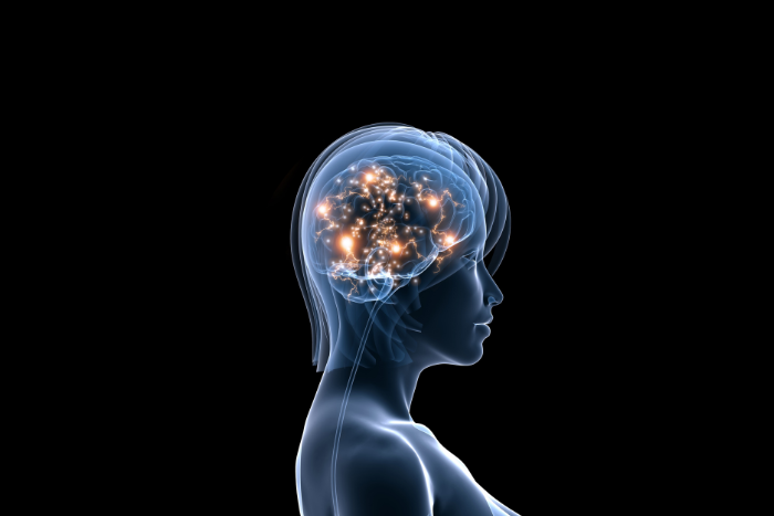 Image de profil d'un cerveau de femme sur fond noir