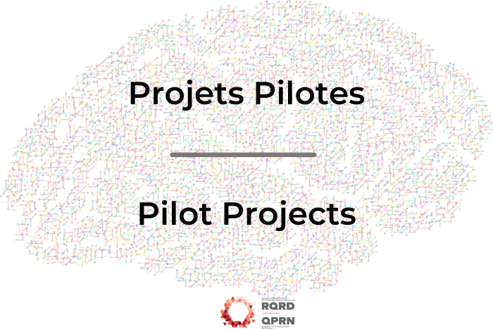 projet pilote imgewebsite